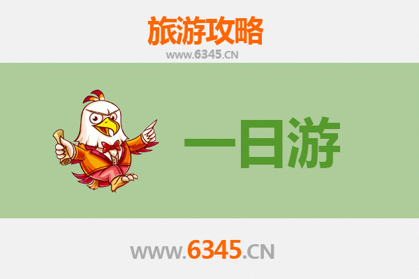 乐东国营乐光农场一日游全攻略：热带田园体验与预算明细